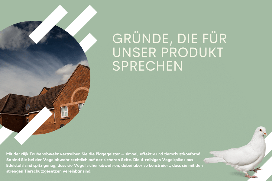 Gründe für die riijk Taubenabwehr