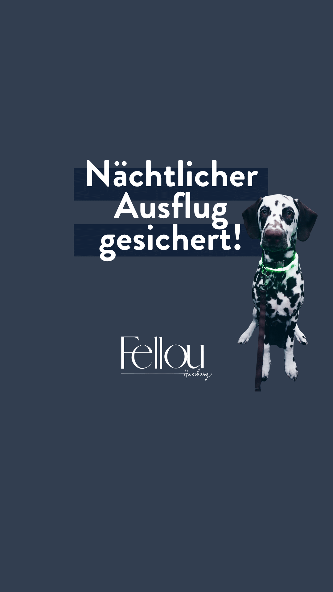 Nächtlicher Hunde Spaziergang ist jetzt sicher