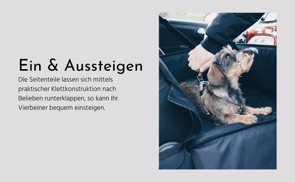 sicheres Ein- und Aussteigen für den Hund
