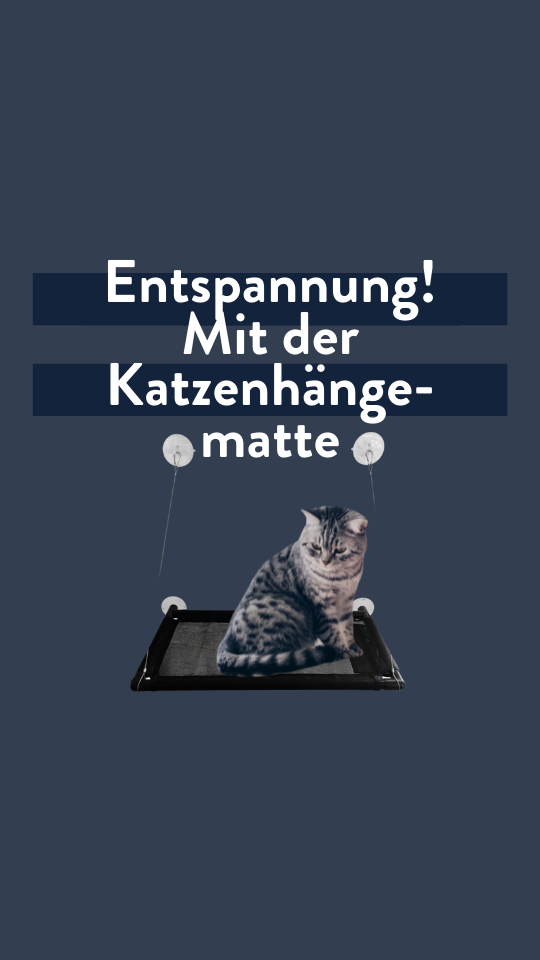 Entspannung mit der Katzenhängematte