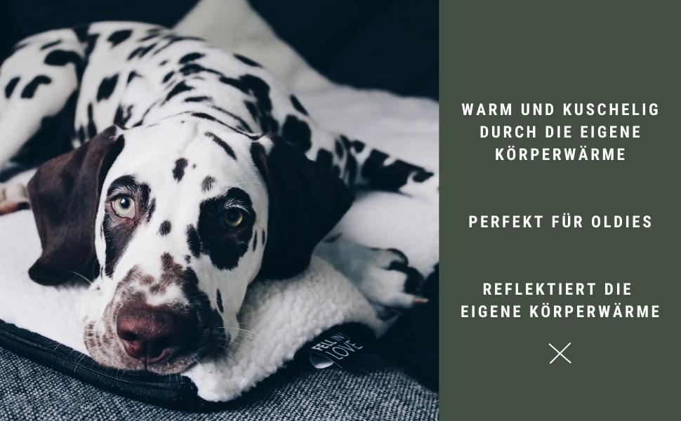 Heizdecke für alte Hunde