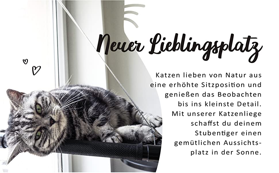 Katzen-Fensterliege Lieblingsplatz
