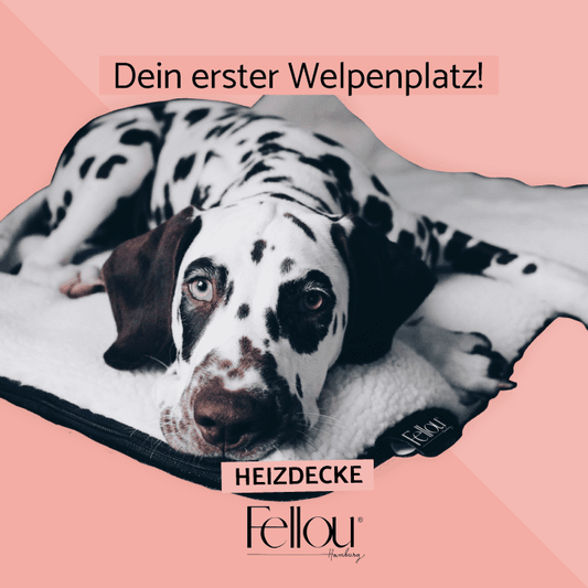 selbstheizende Wärmdecke