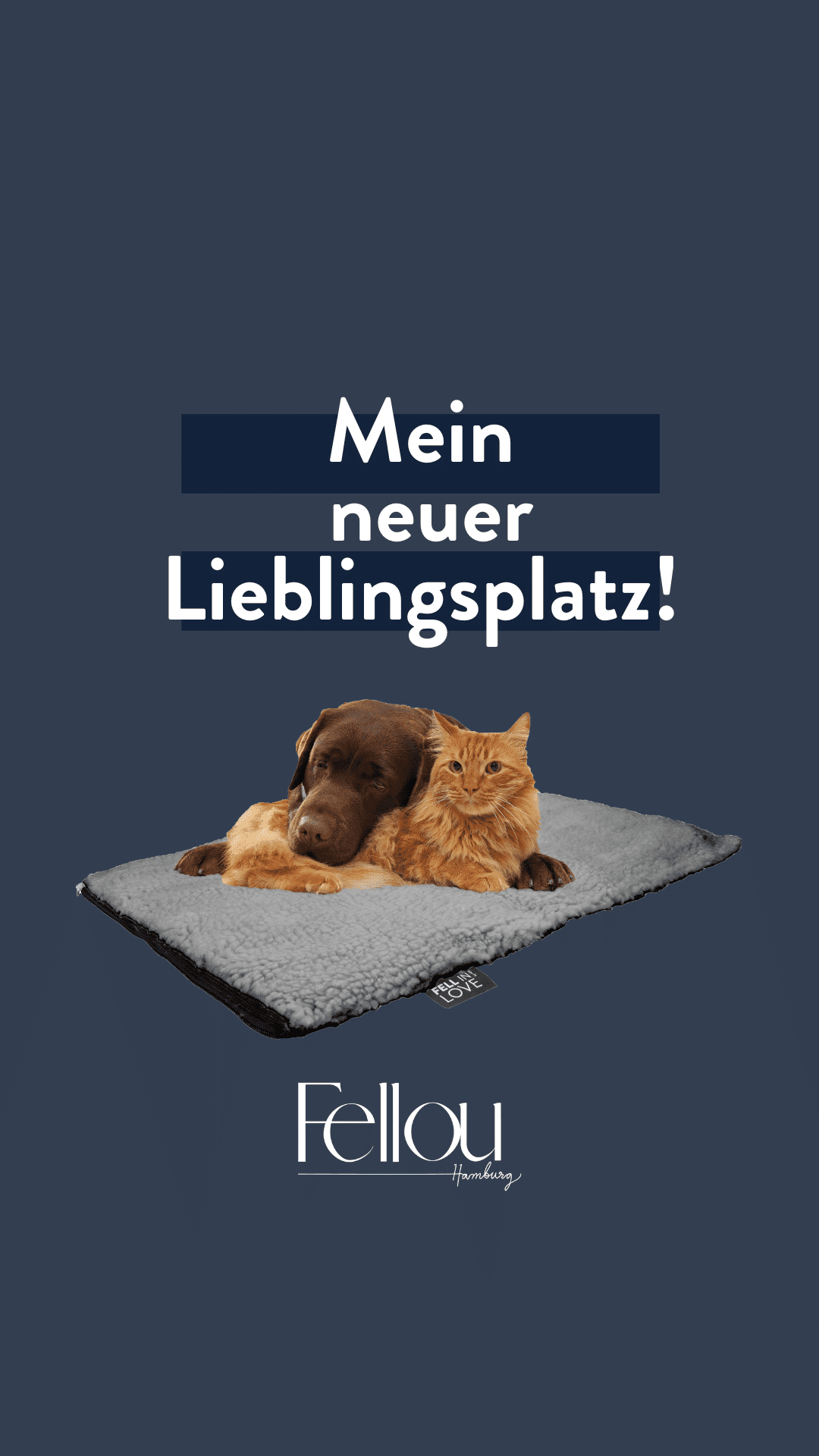 Heizdecke für Hund und Katze