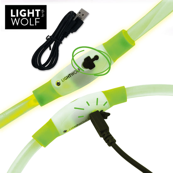 Leuchthalsband per USB ladbar