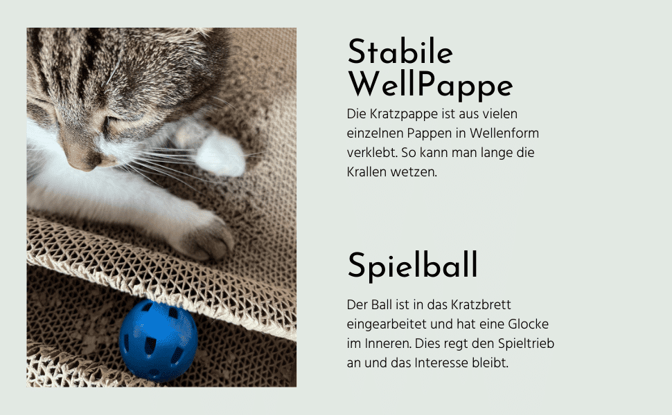 stabiles Kratzbrett mit Spielball