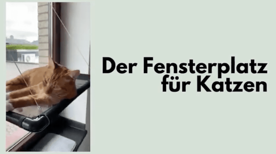 Video laden: 