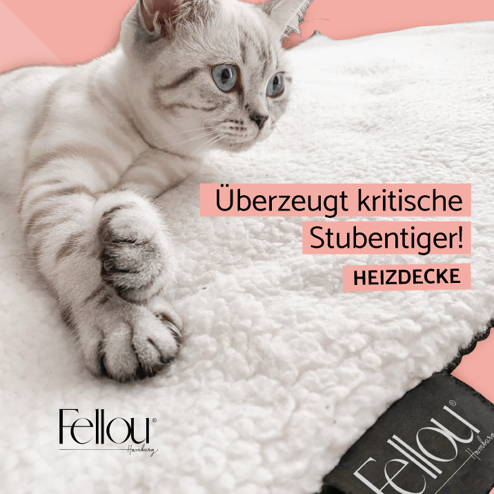 Heizdecke Katze