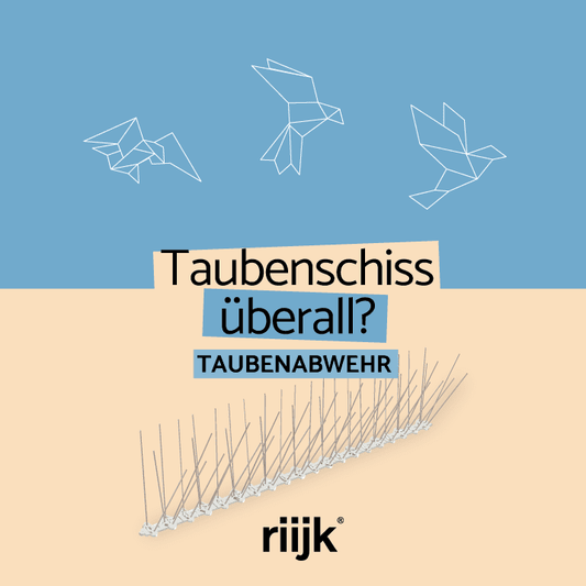 Taubenabwehr