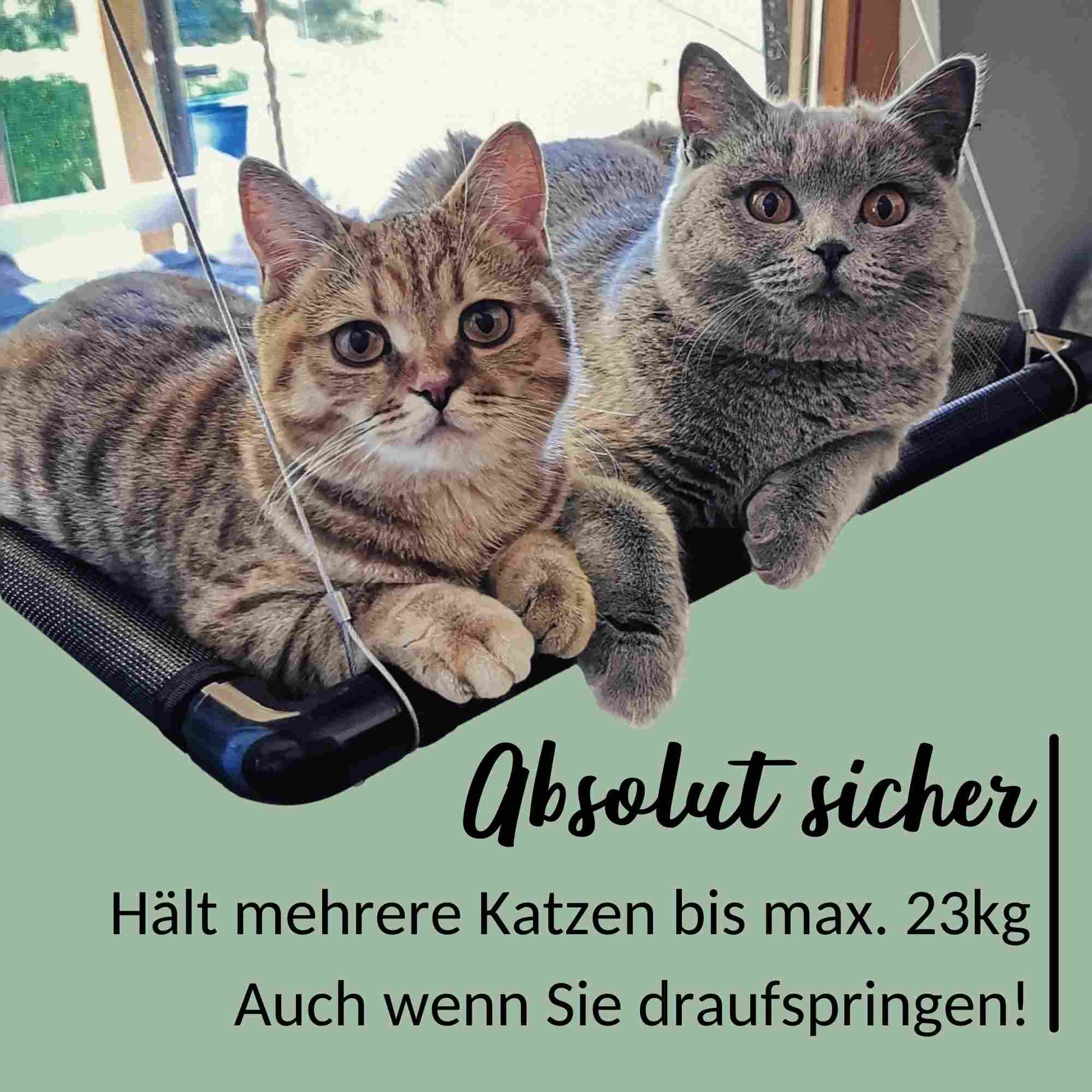 riijk® Fenster Katzenhängematte Katzen bis 23 kg