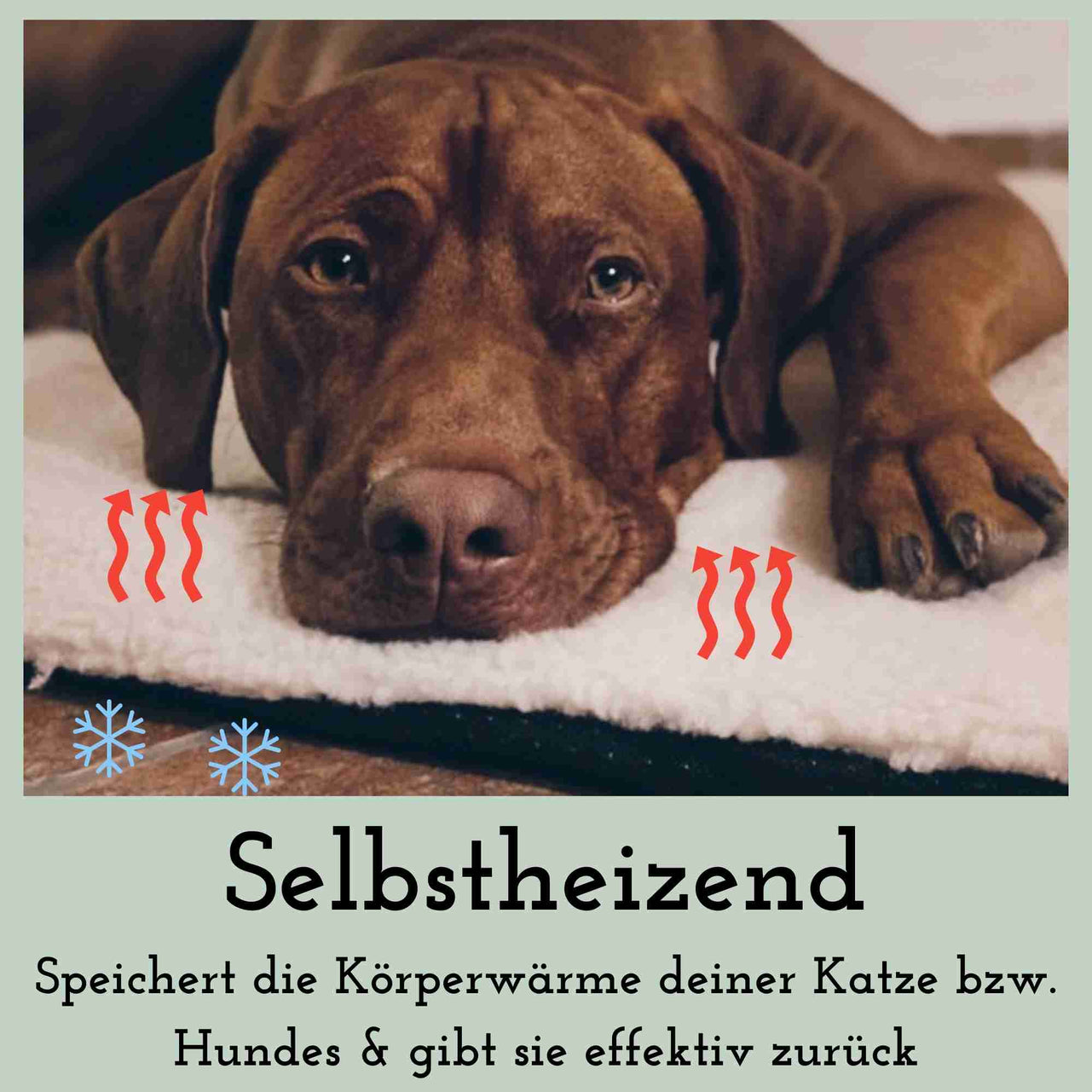 Heizdecke