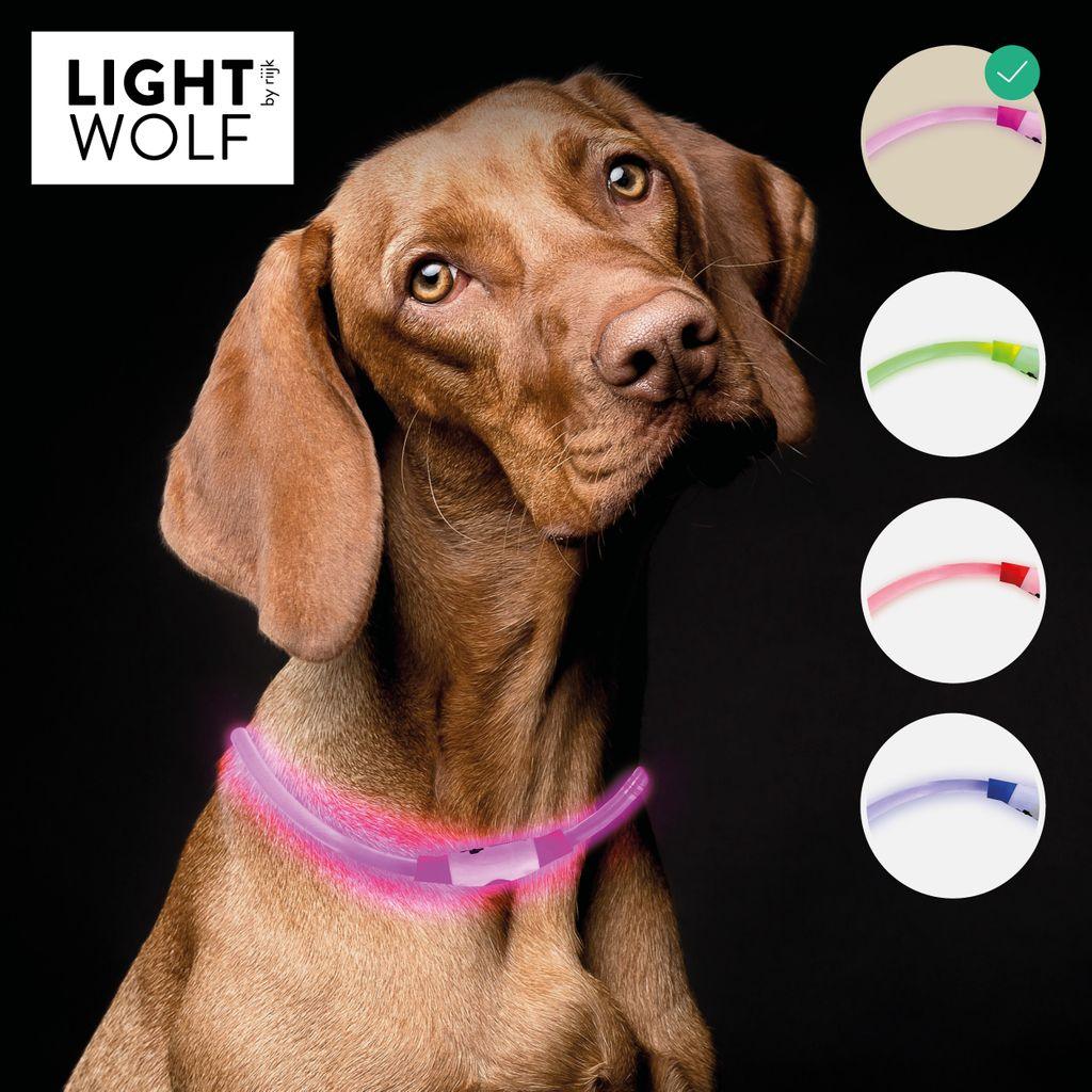 LED-Leuchthalsband pink