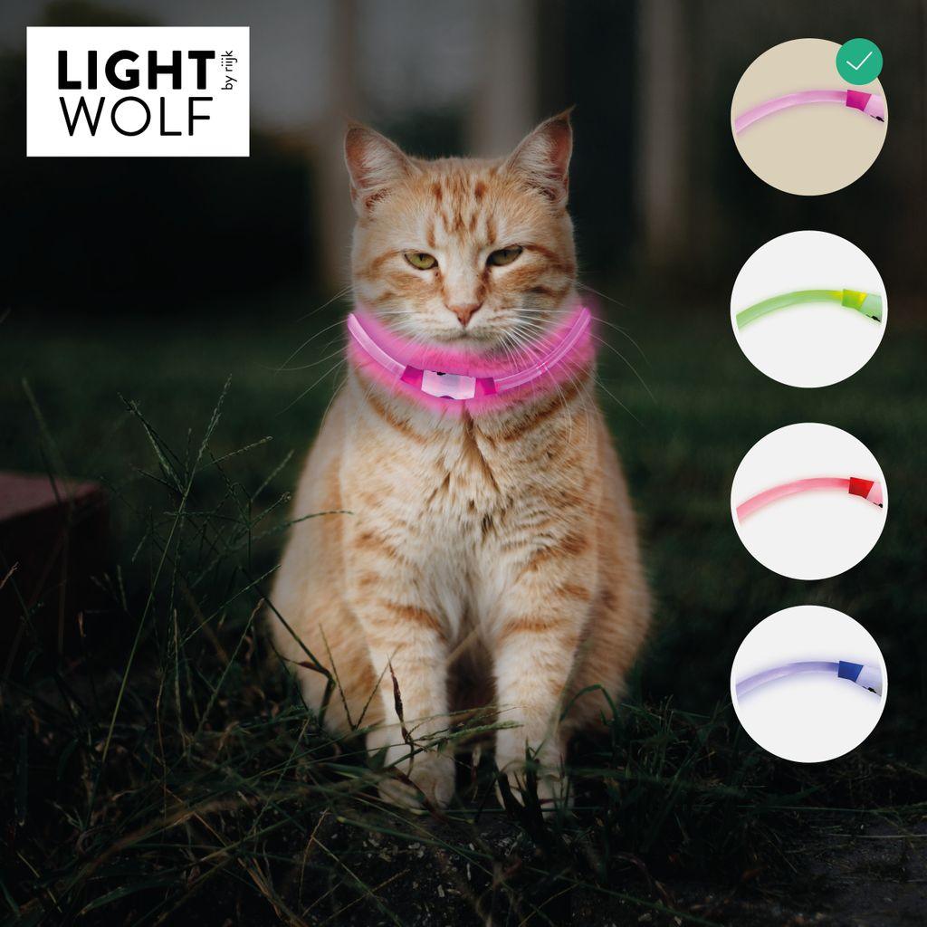 LED-Leuchthalsband pink an Katze