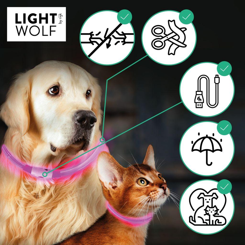 LED Leuchthalsband für Hunde & Katzen - riijk