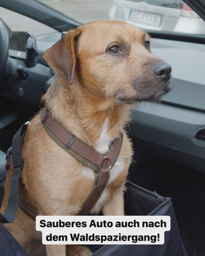 Hundesitz für das Auto