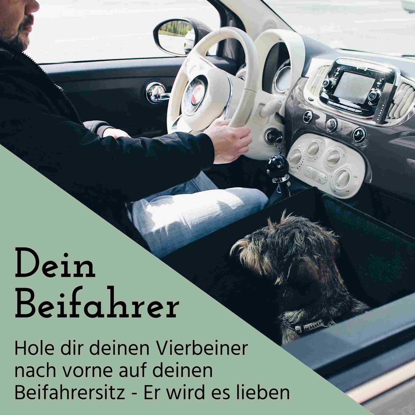 Hundesitz für das Auto