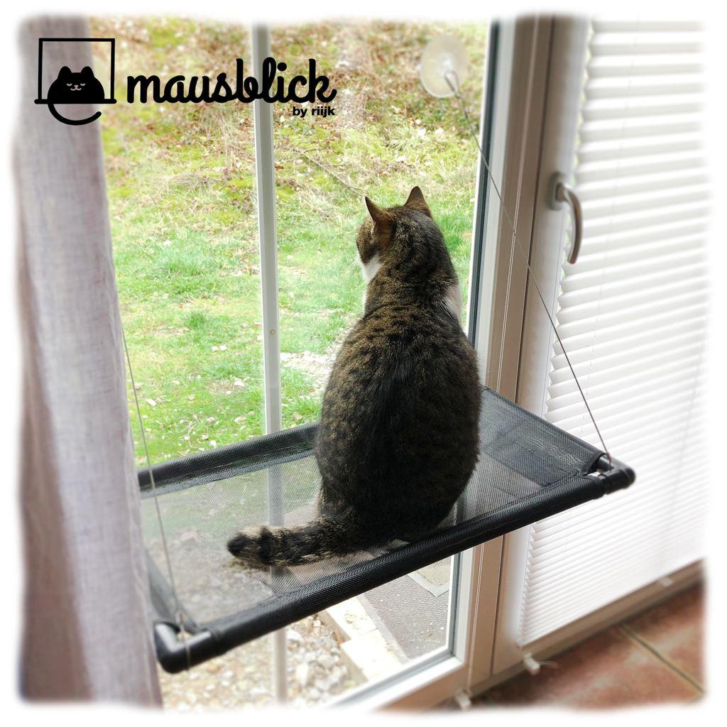 Katzenhängematte für das Fenster
