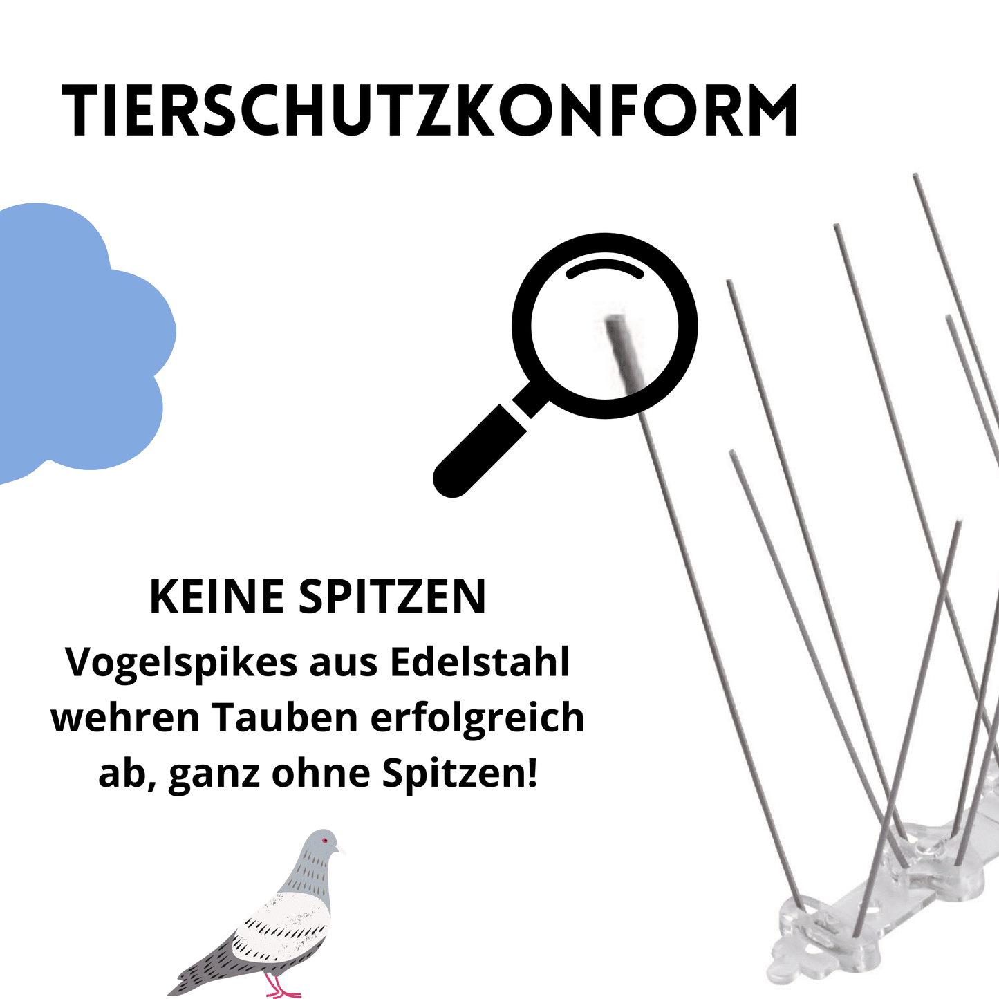 Taubenabwehr Tierschutzkonform